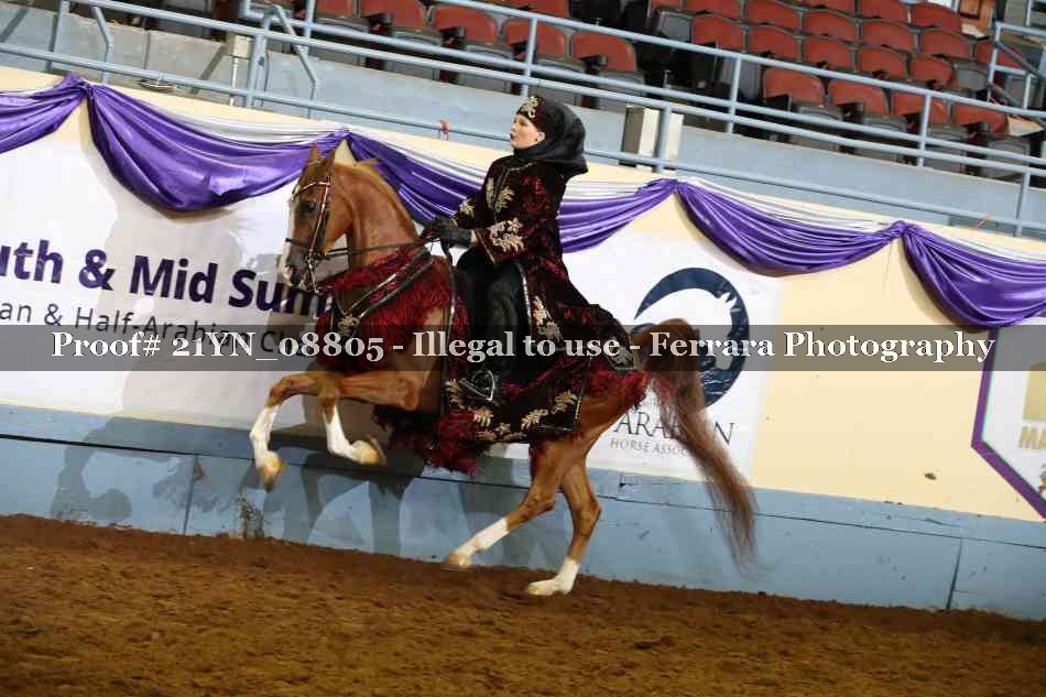 Proof Number 21YN_08805