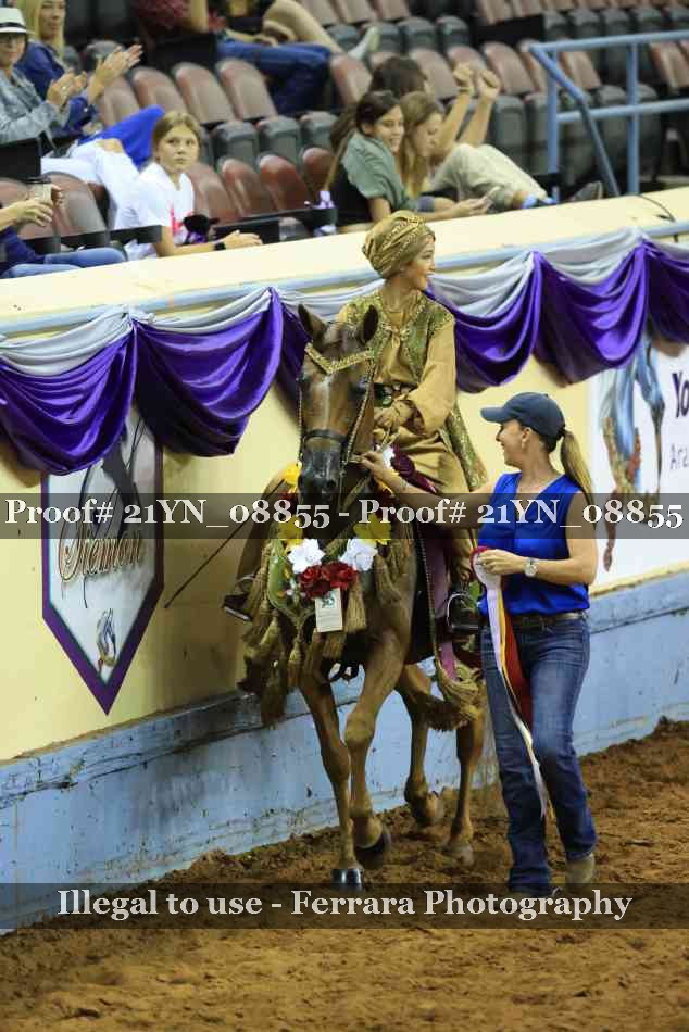Proof Number 21YN_08855