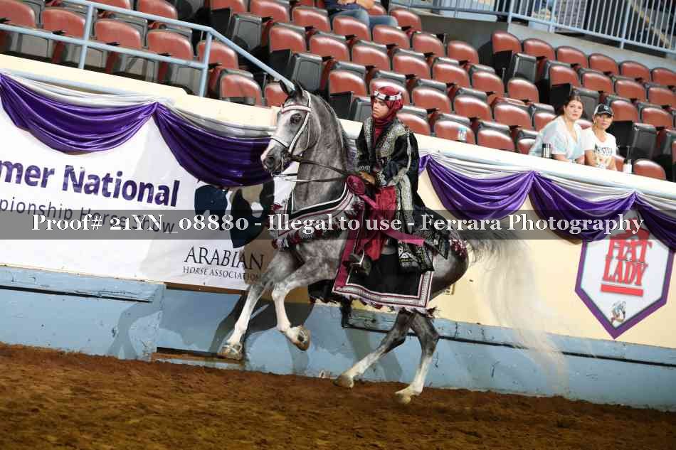 Proof Number 21YN_08880