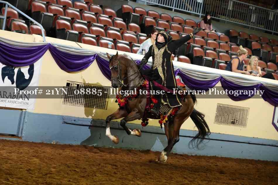Proof Number 21YN_08885