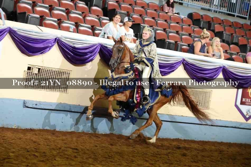 Proof Number 21YN_08890