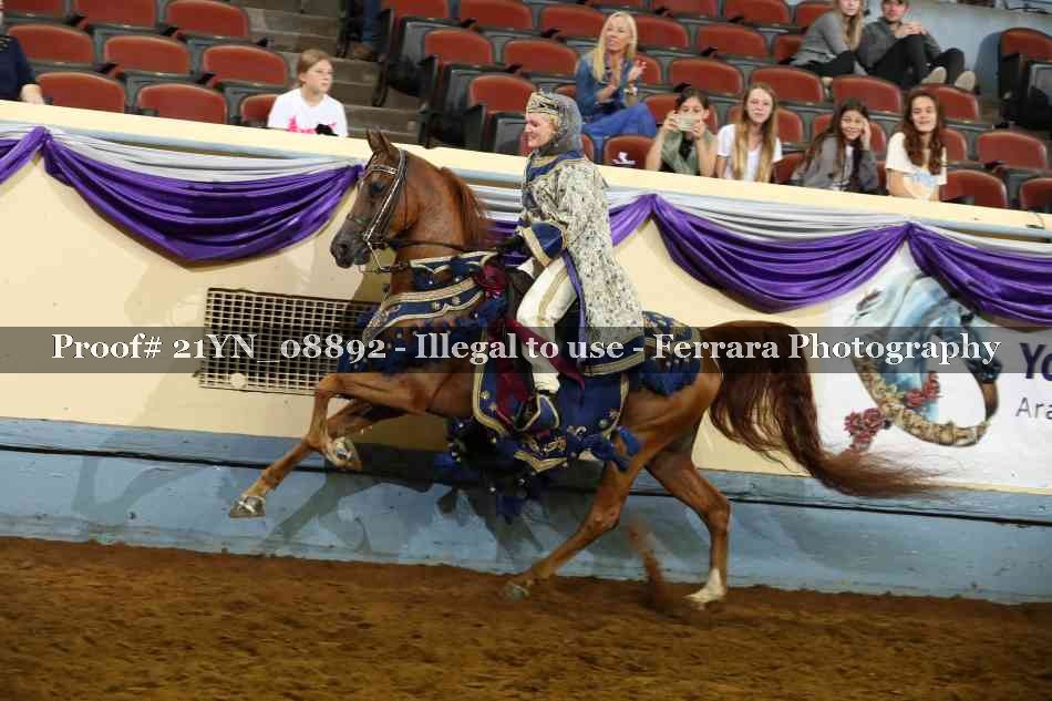 Proof Number 21YN_08892