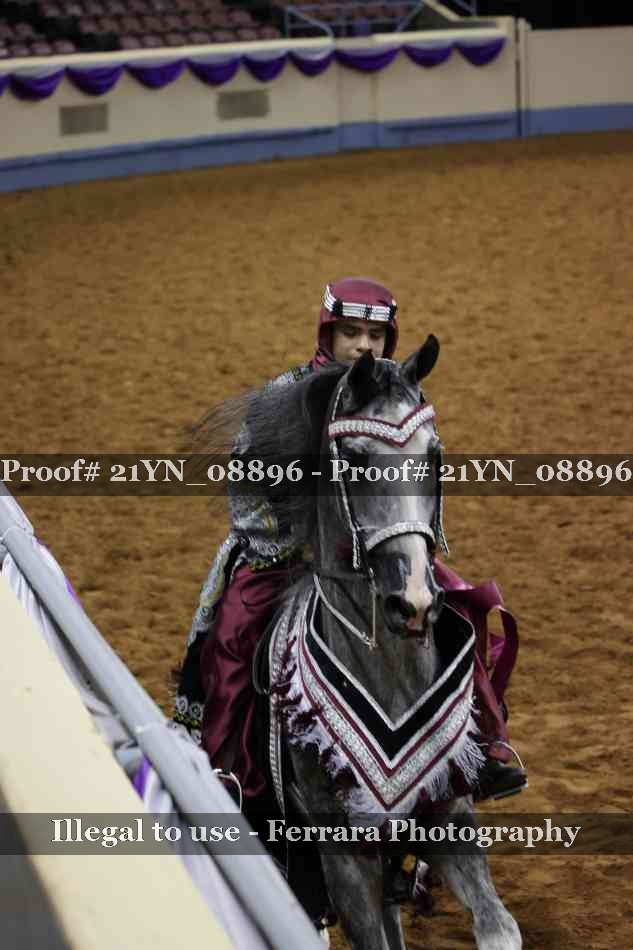 Proof Number 21YN_08896