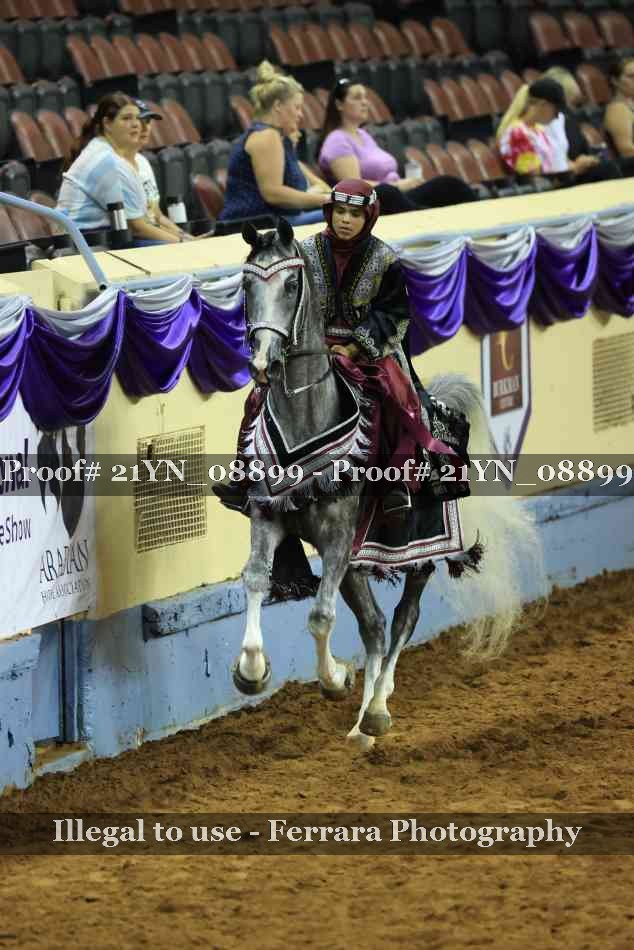 Proof Number 21YN_08899