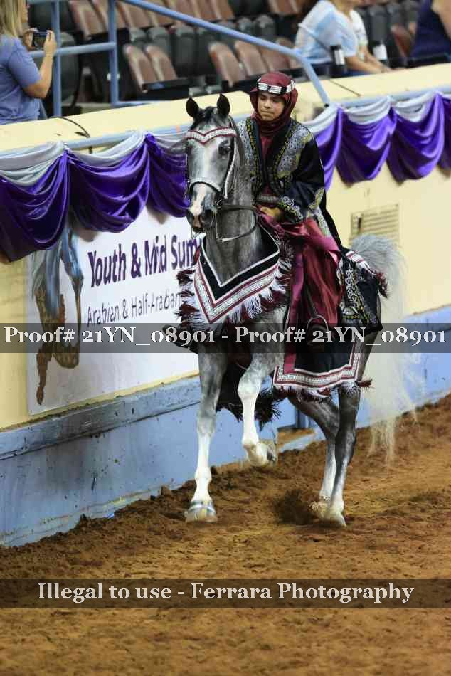 Proof Number 21YN_08901