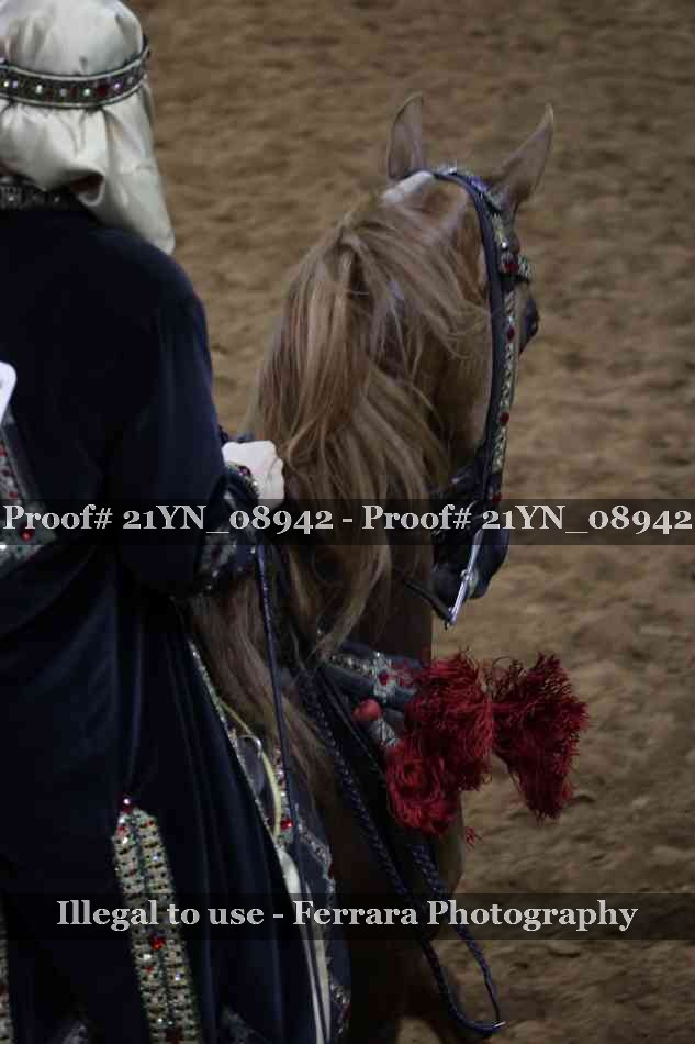 Proof Number 21YN_08942