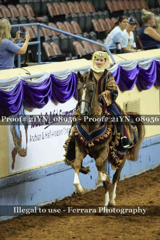 Proof Number 21YN_08956