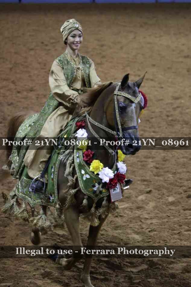 Proof Number 21YN_08961