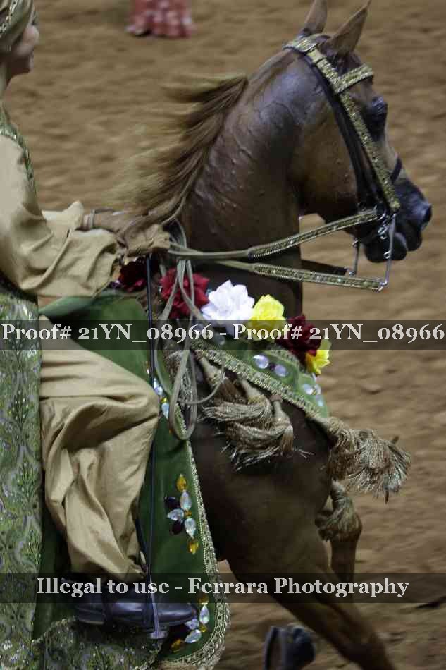 Proof Number 21YN_08966