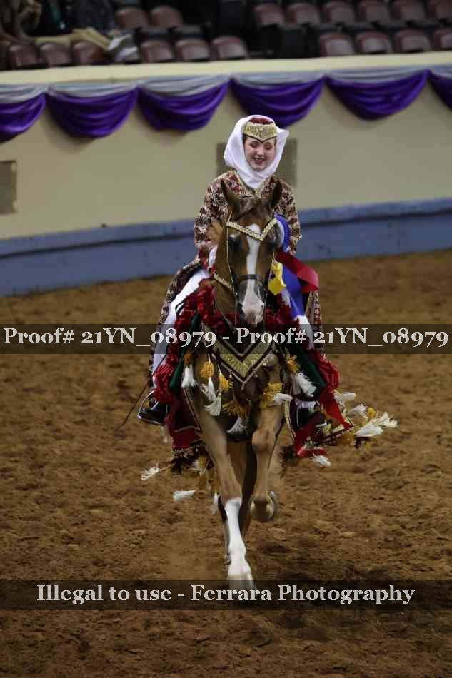 Proof Number 21YN_08979
