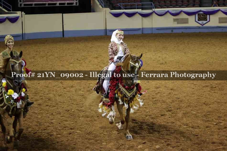 Proof Number 21YN_09002