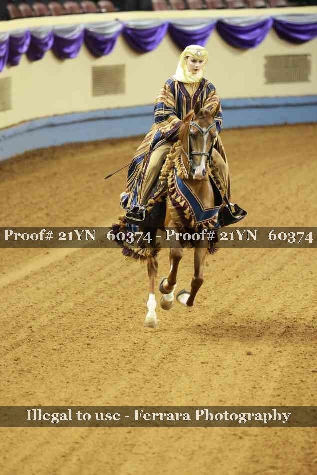 Proof Number 21YN_60374