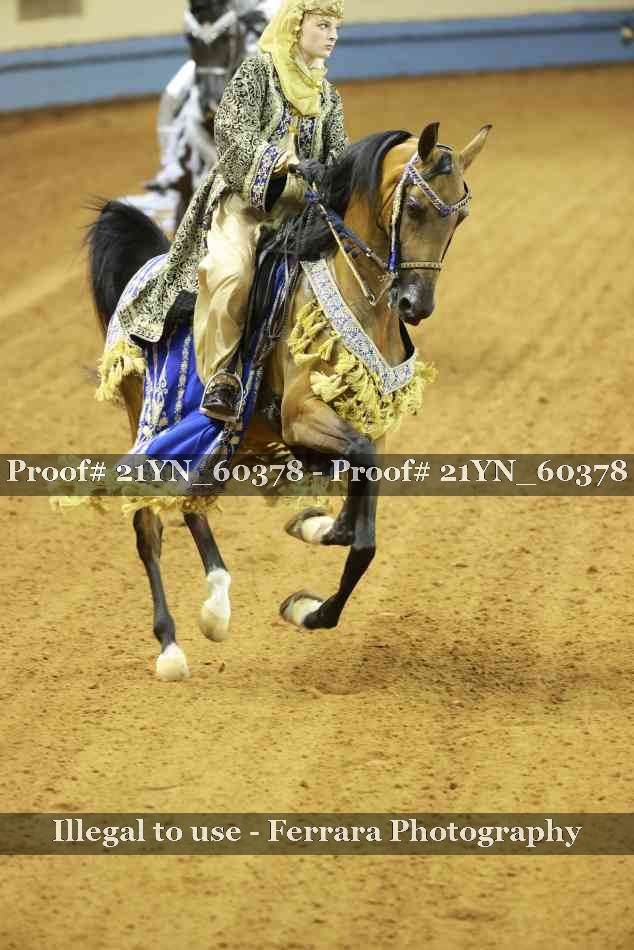Proof Number 21YN_60378