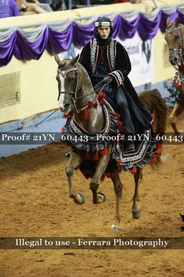 Proof Number 21YN_60443