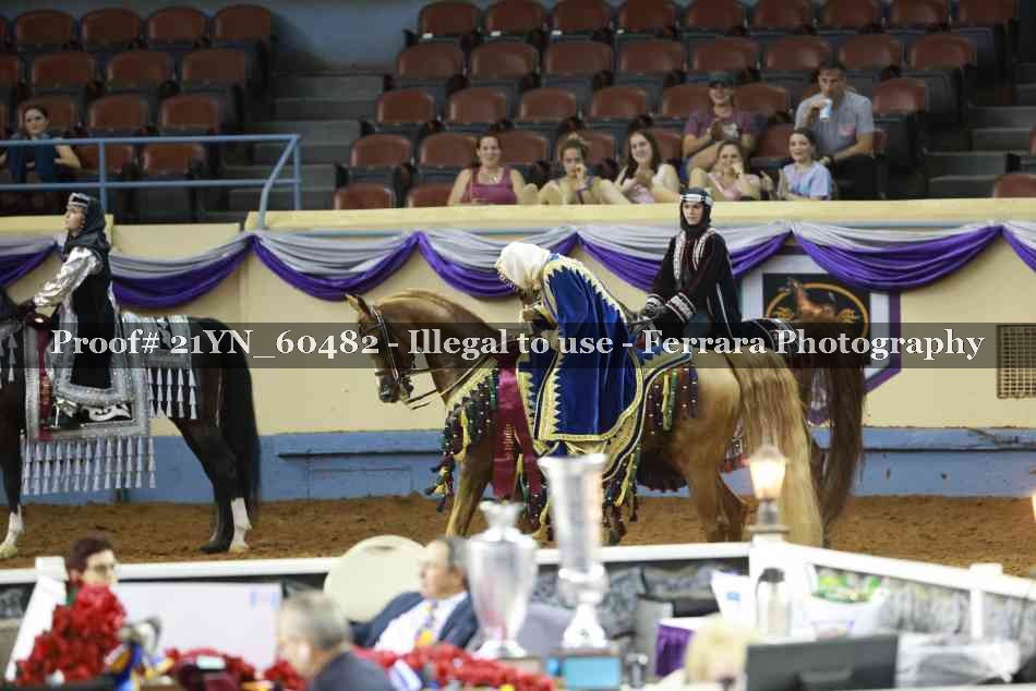 Proof Number 21YN_60482