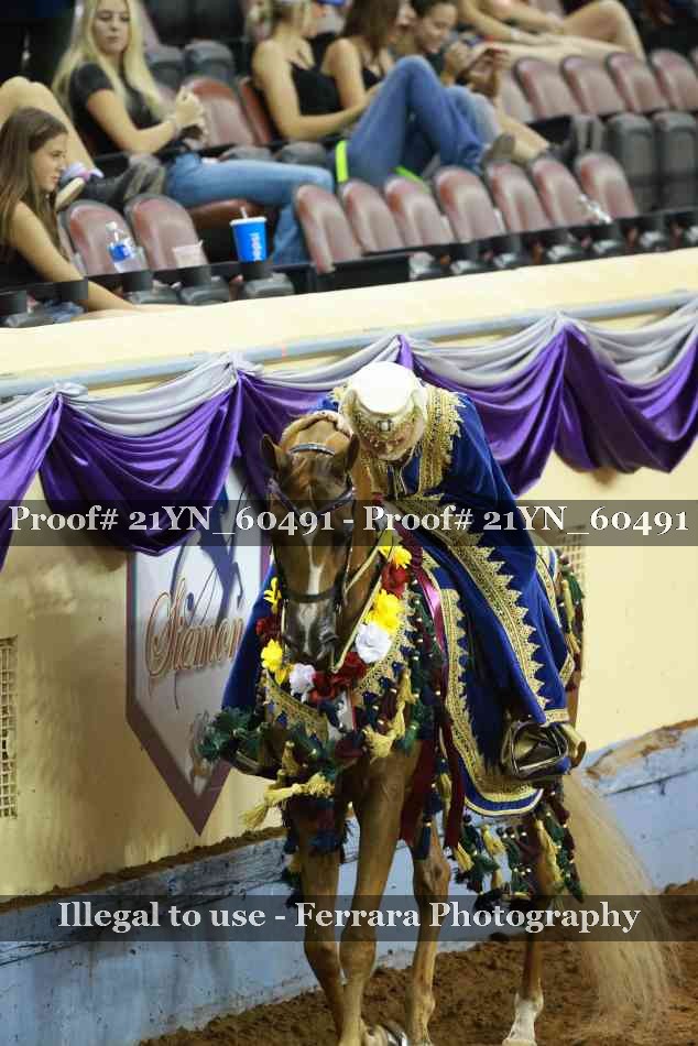 Proof Number 21YN_60491