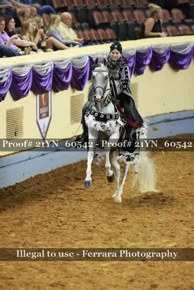 Proof Number 21YN_60542
