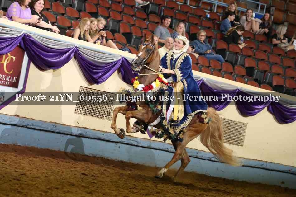Proof Number 21YN_60556