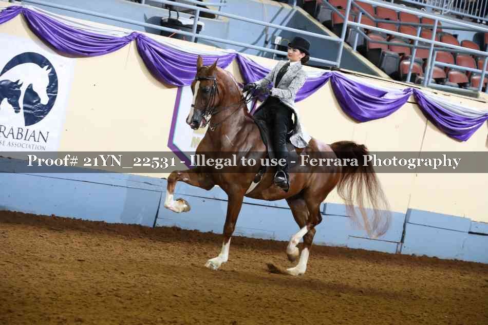Proof Number 21YN_22531