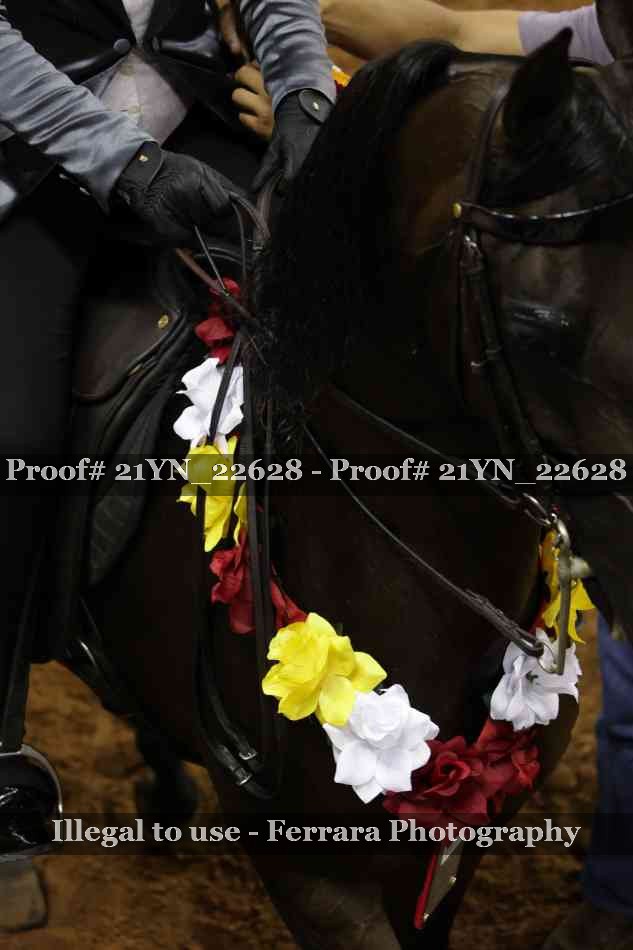 Proof Number 21YN_22628