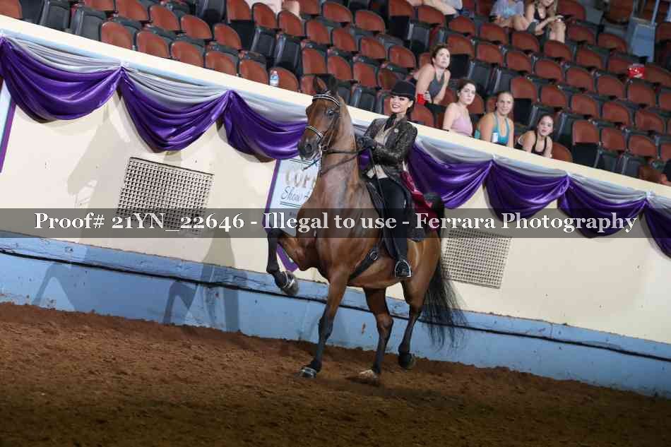 Proof Number 21YN_22646