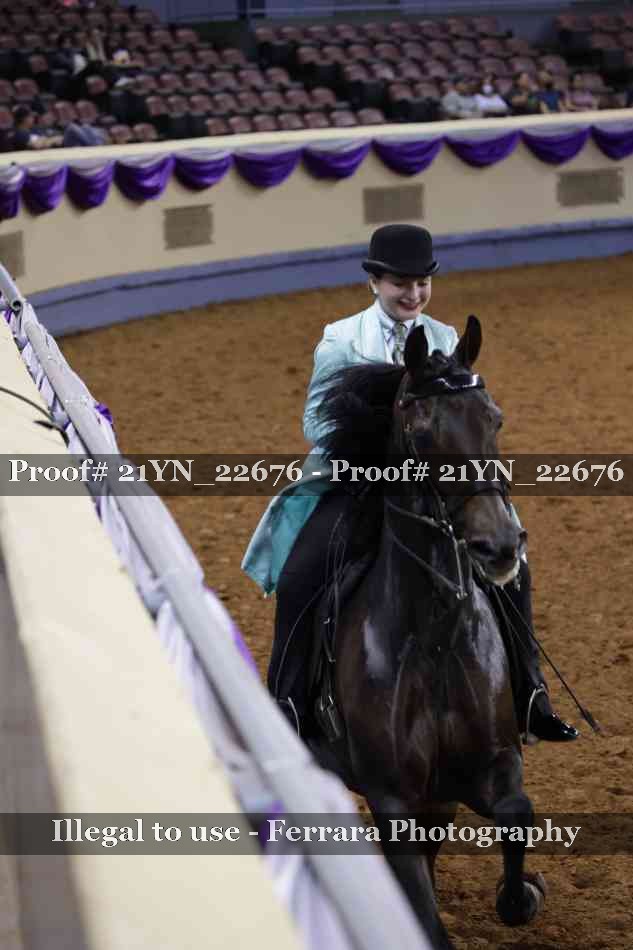 Proof Number 21YN_22676