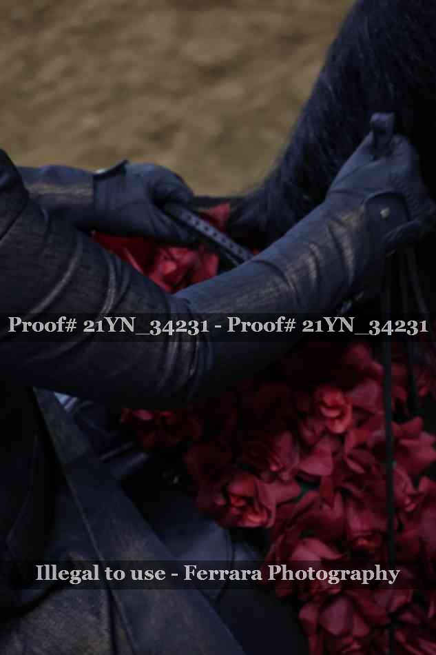 Proof Number 21YN_34231