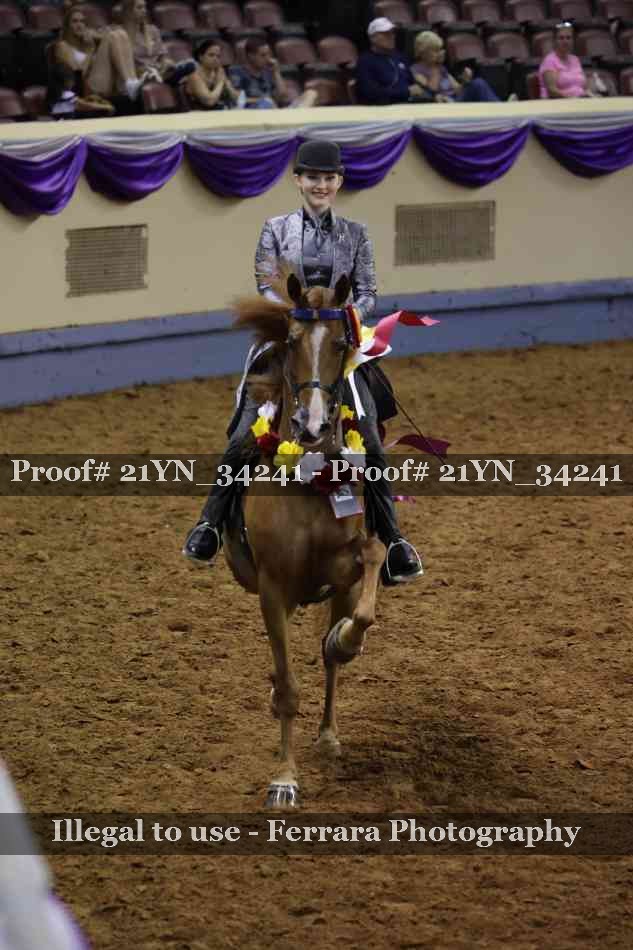 Proof Number 21YN_34241