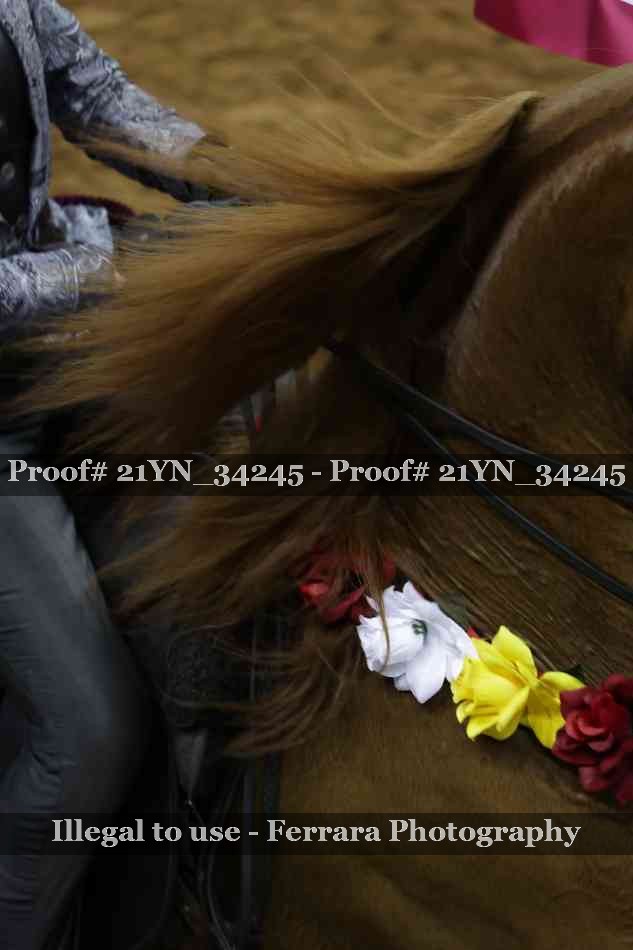 Proof Number 21YN_34245
