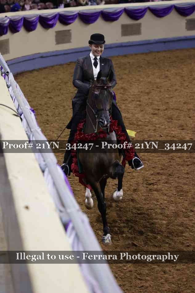 Proof Number 21YN_34247