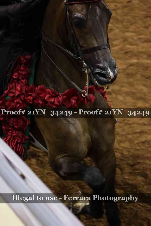 Proof Number 21YN_34249