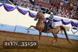 21YN_35150 thumbnail