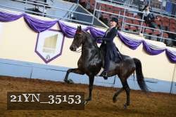 21YN_35153 thumbnail