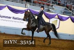 21YN_35154 thumbnail