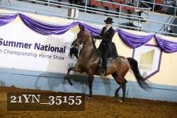 21YN_35155 thumbnail