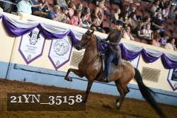 21YN_35158 thumbnail