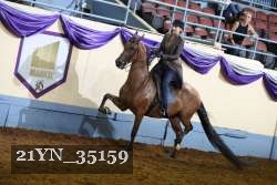 21YN_35159 thumbnail