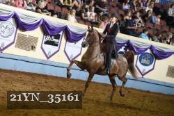 21YN_35161 thumbnail
