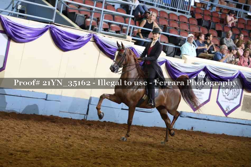 Proof Number 21YN_35162