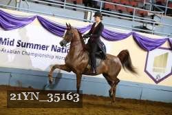 21YN_35163 thumbnail