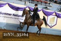 21YN_35164 thumbnail