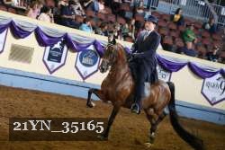 21YN_35165 thumbnail