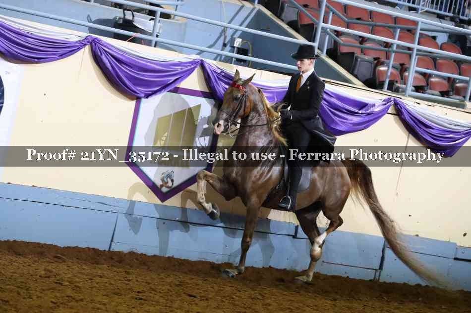 Proof Number 21YN_35172