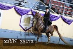 21YN_35172 thumbnail