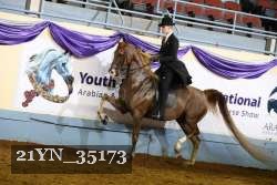 21YN_35173 thumbnail