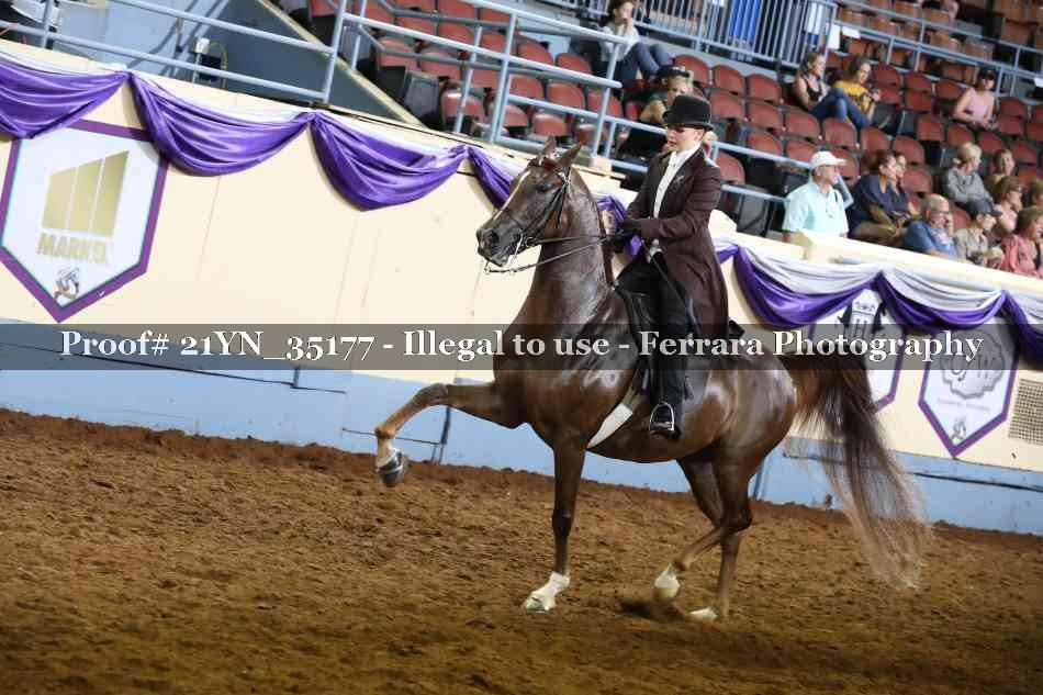 Proof Number 21YN_35177