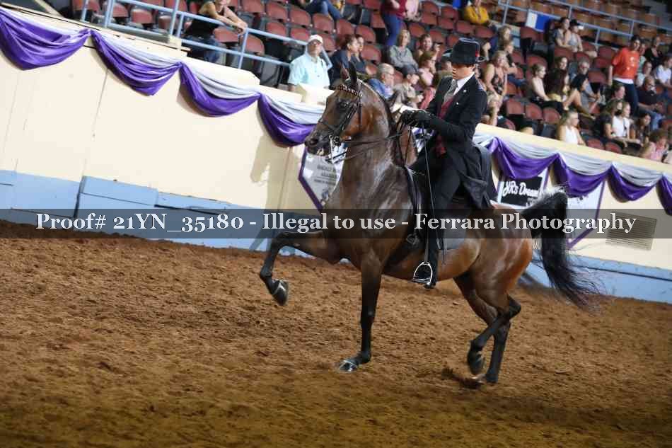Proof Number 21YN_35180