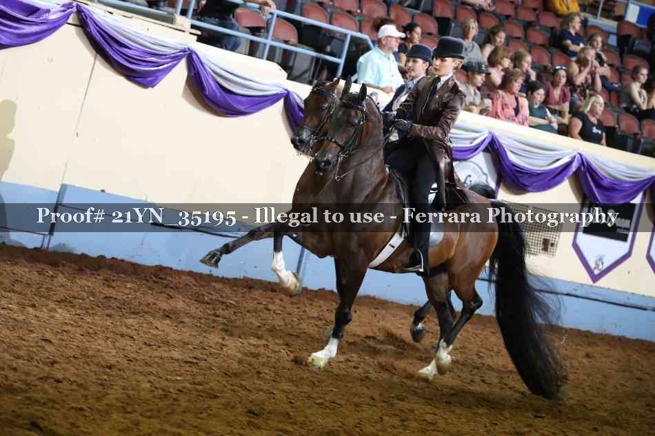 Proof Number 21YN_35195
