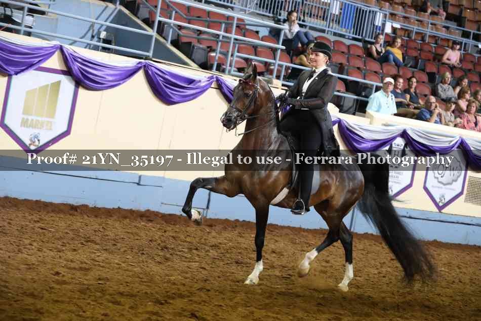 Proof Number 21YN_35197