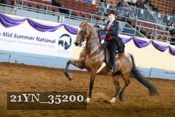 21YN_35200 thumbnail